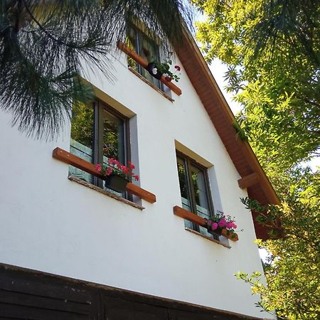 Pele Vendeghaz Villa Velem Ngoại thất bức ảnh