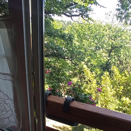 Pele Vendeghaz Villa Velem Ngoại thất bức ảnh